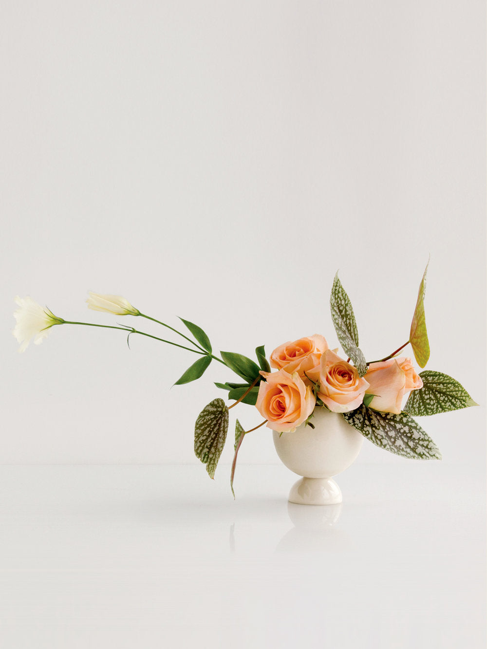 White Cova vase with an arrangement of roses