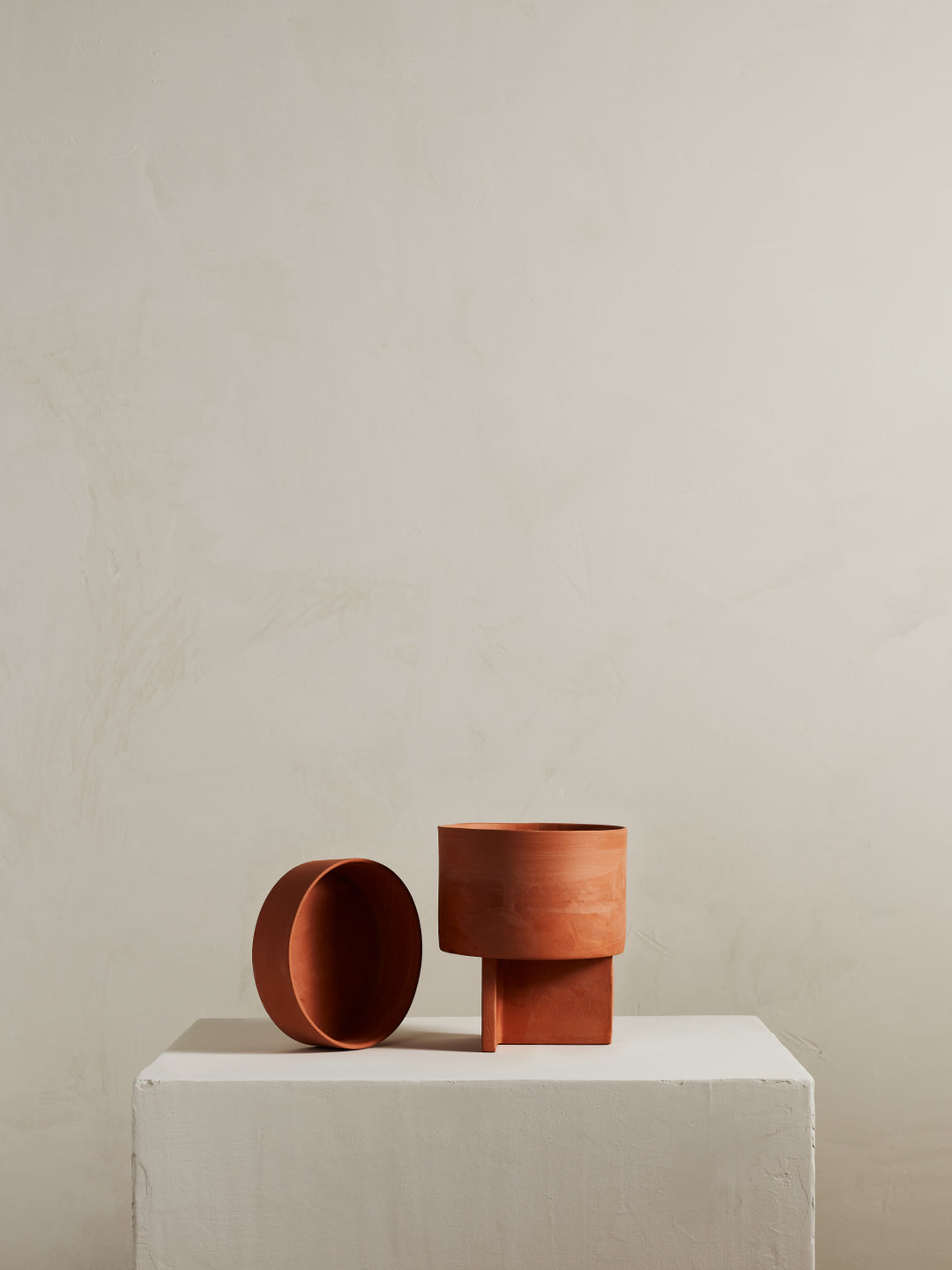 Collections – Light + Ladder