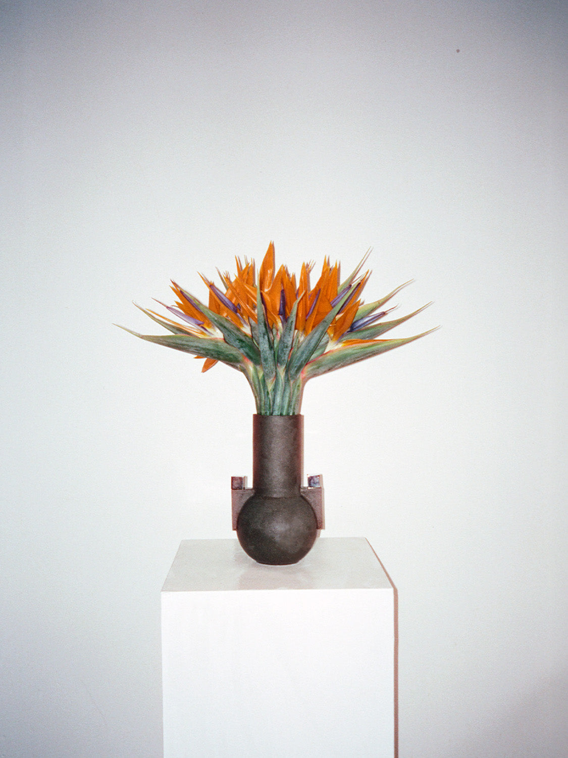 Decorative plant in a pot on a white pedestal against a light gray background