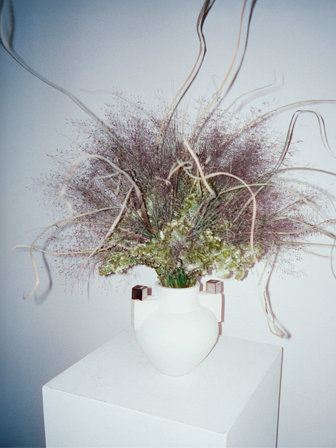 Decorative arrangement of dried plants and greenery in a white vase on a light gray background