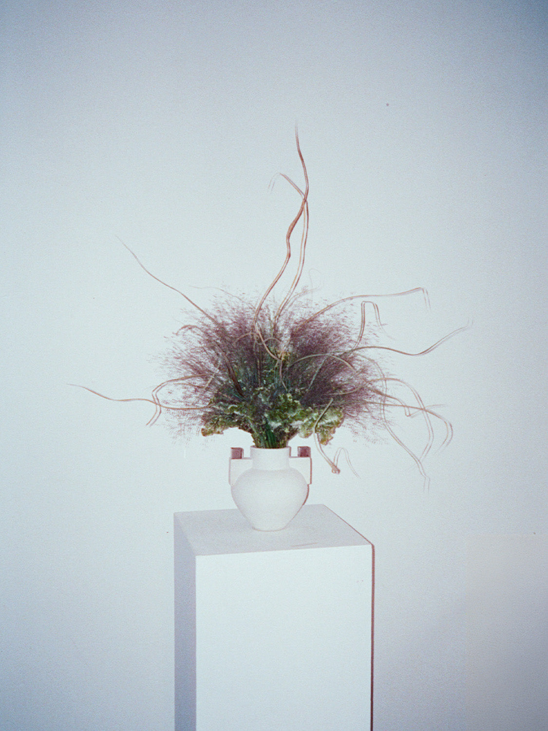 Plants in a vase on a white pedestal against a light blue background