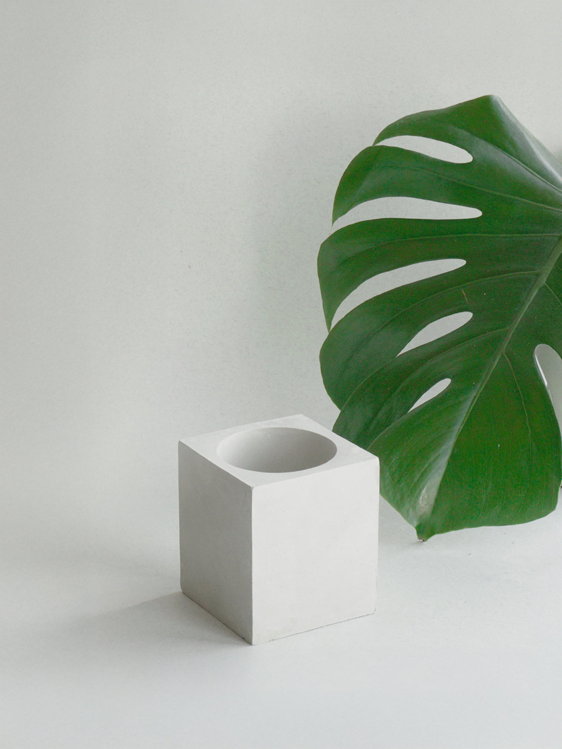 white concrete plant pot Eleva Porcelain Planter with Concrete Pedestal Drainage Base, Snow