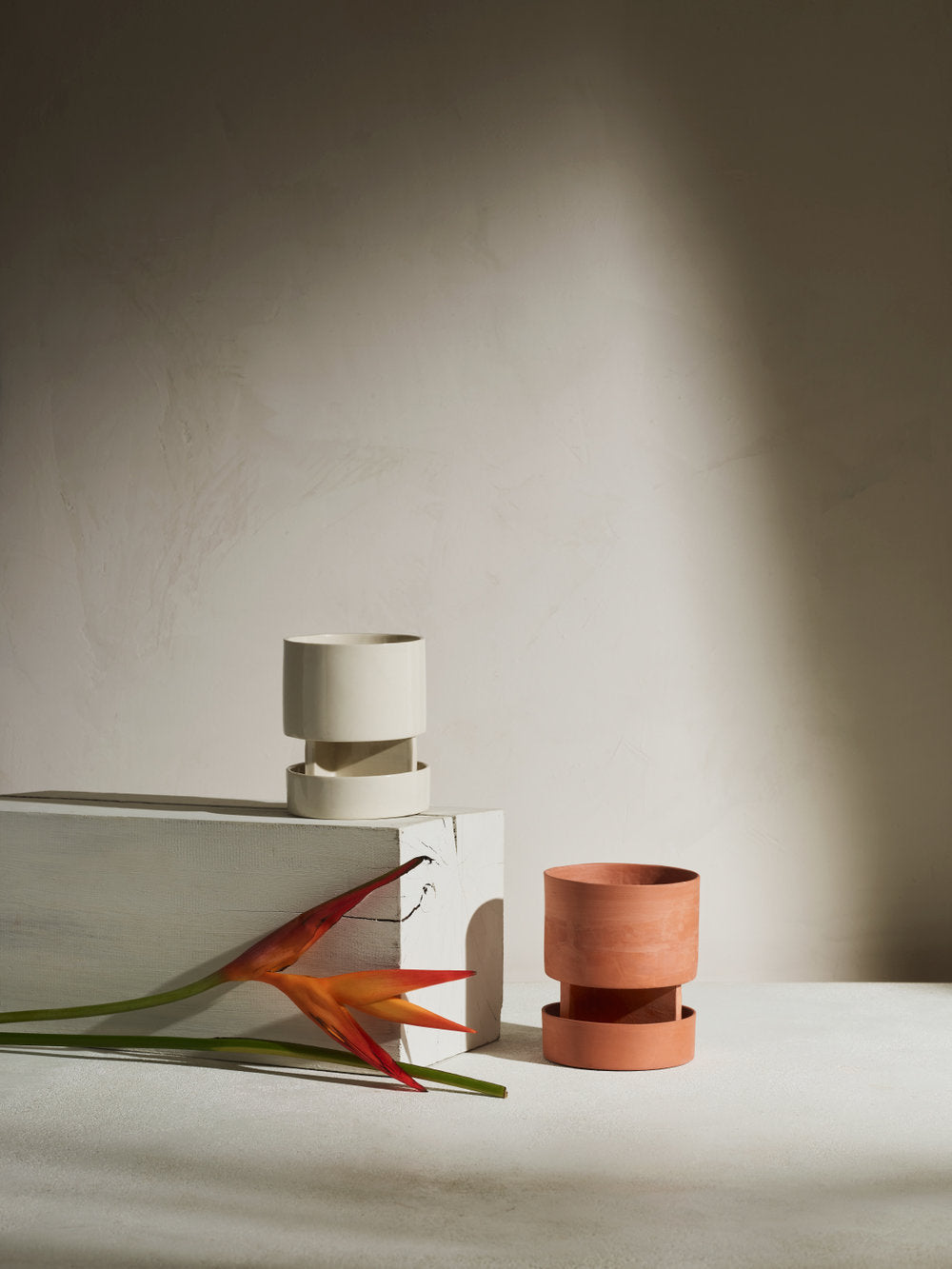Terracotta – Light + Ladder