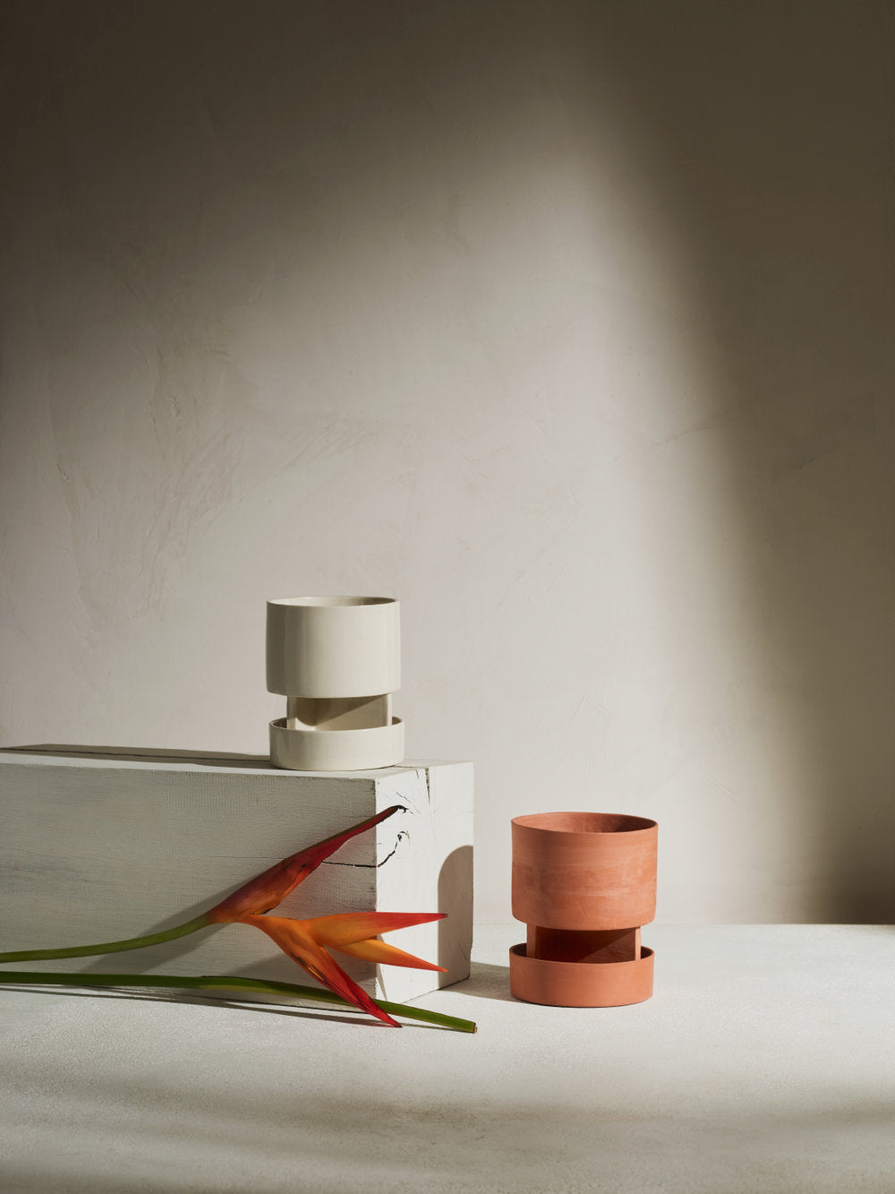 Archromo desktop planters with trays, one in Terracotta and one in white glaze
