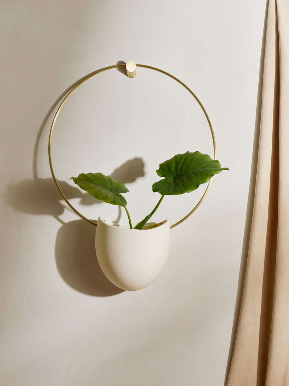 circle wall hanging planter Spora