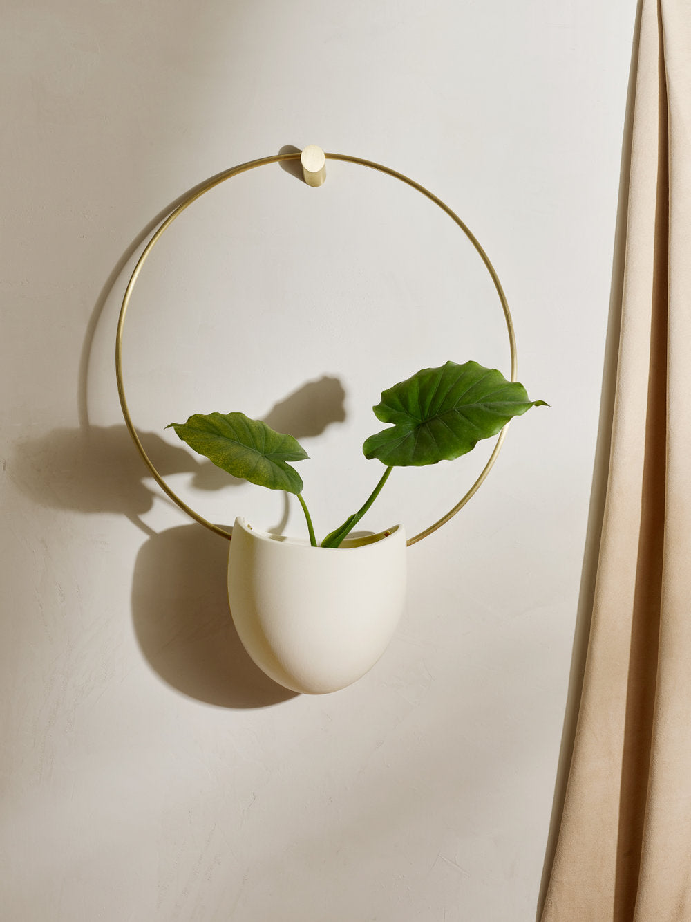 Flatback Spora Wall Hanging Planter with Brass Ring