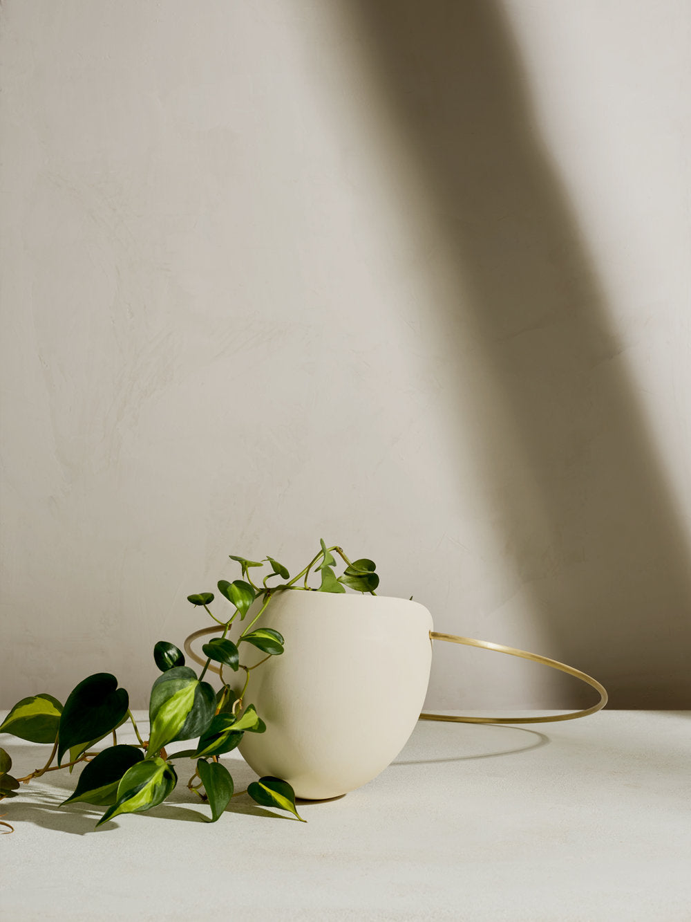 Matte White porcelain planter with hanging plant