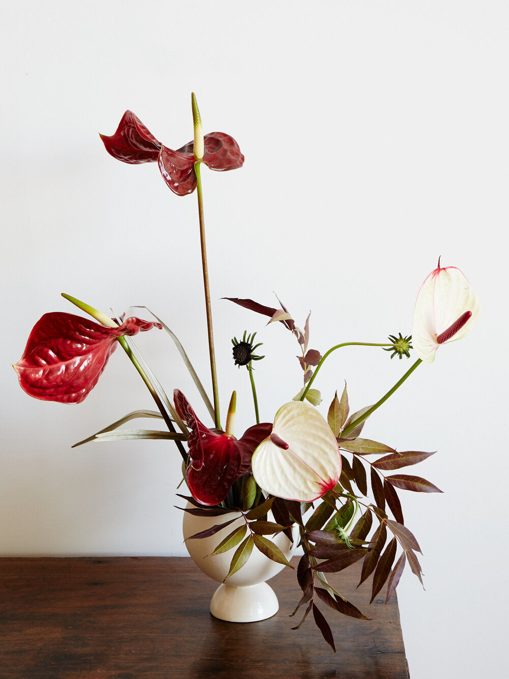 White cova vase with a vibrant red arrangement of Anthurium