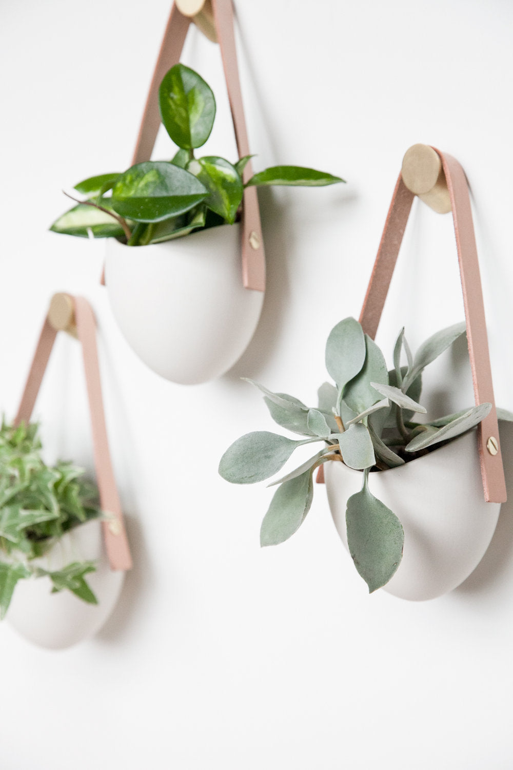 Spora porcelain wall hanging planters with natural leather strap