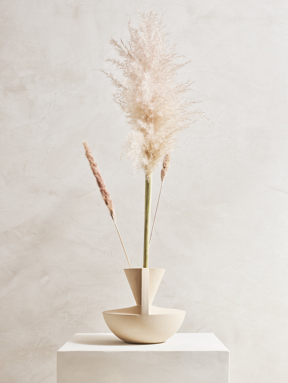 Side view of vaso in sandy stoneware with pampas grass