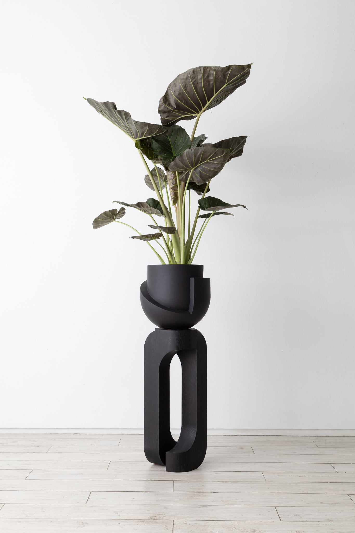 Coal Vayu planter sat on top of sculptural plant stand