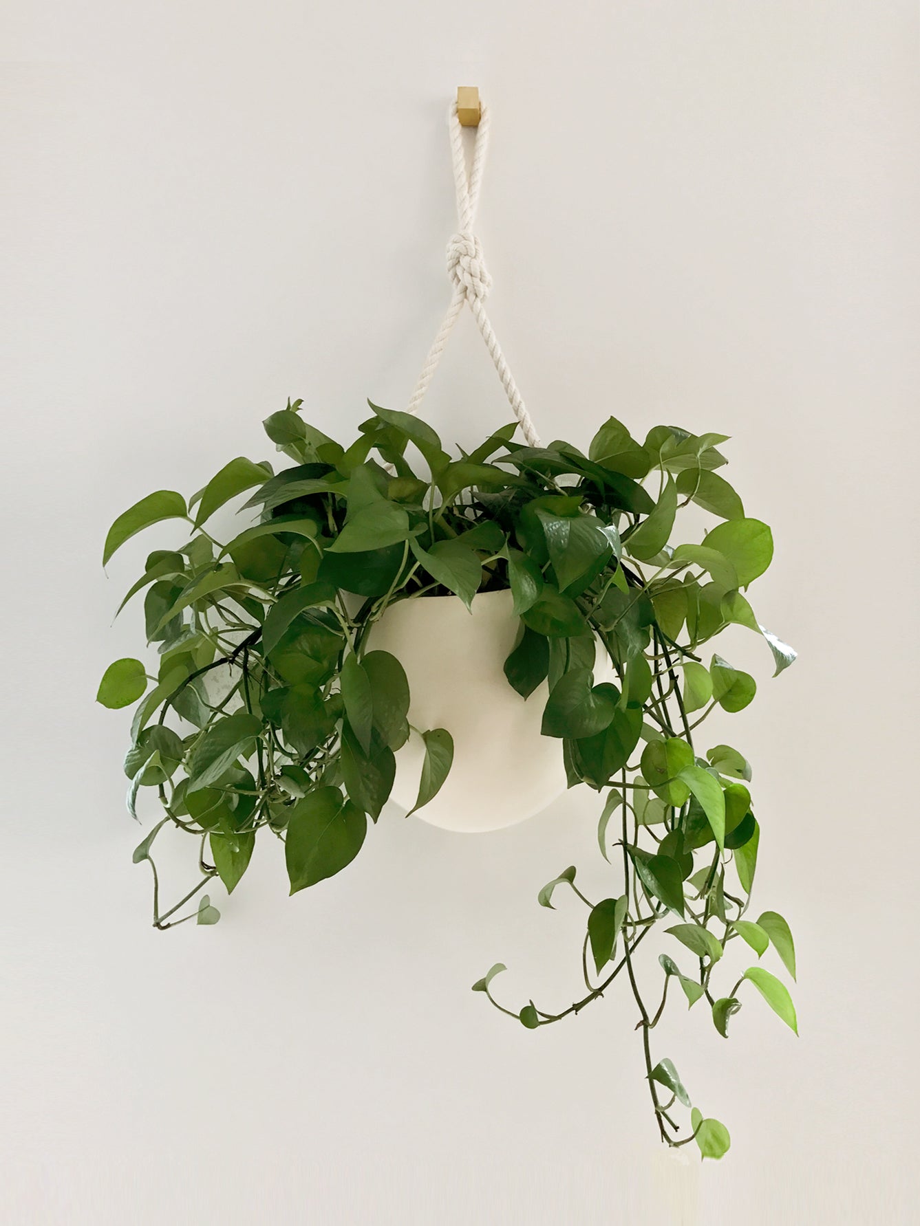 Extra Large wall hanging planter with flat back and hanging plant