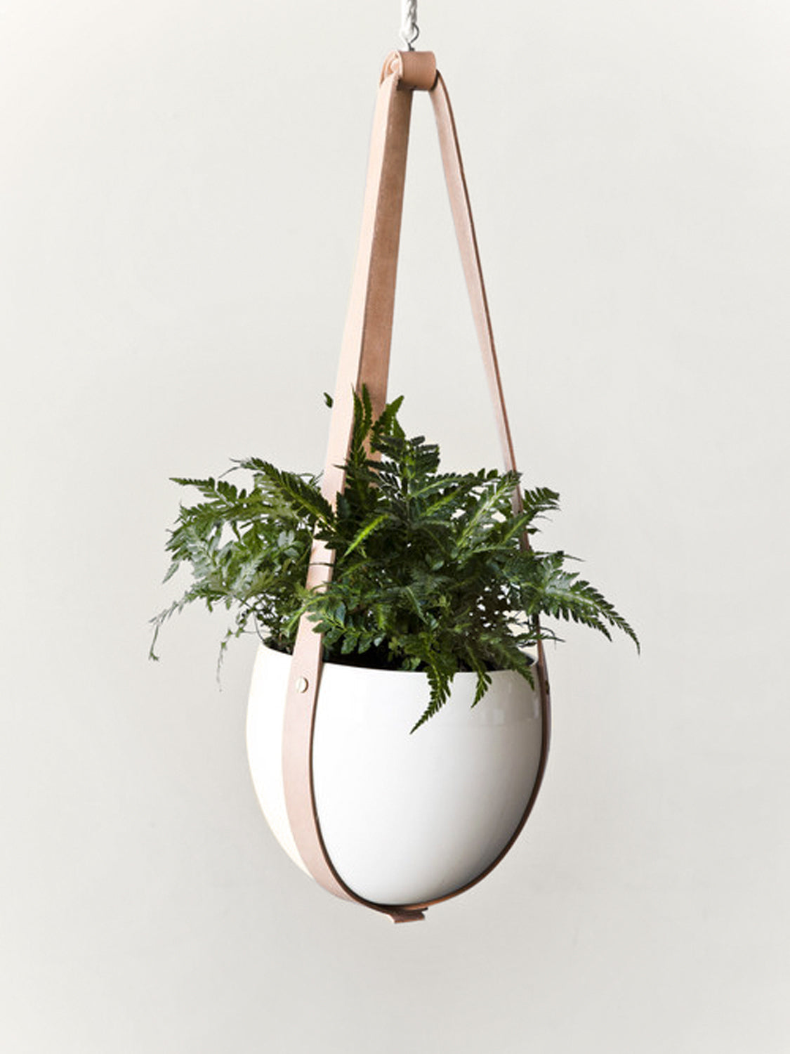 Ceiling hanging spora planter in organic shape with leather straps
